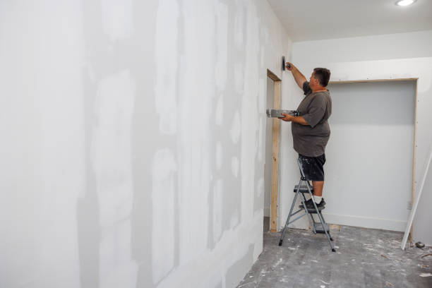 Best Black Mold Removal  in Euless, TX