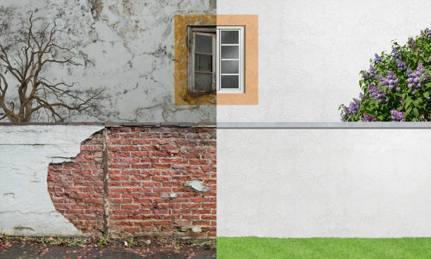 Best Emergency Mold Remediation  in Euless, TX