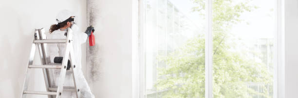 Best Commercial Mold Inspection  in Euless, TX